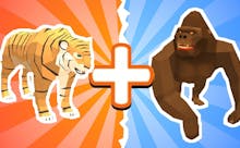 Play Now