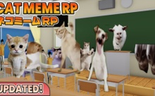 Play Now