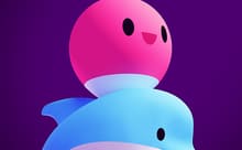 Play Now