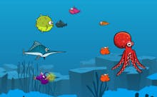 Play Now