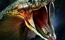 Play Now