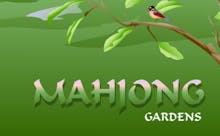 Play Now