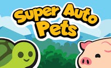 Play Now